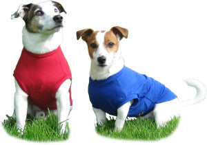 HOTTERdog T-Shirt Body - Protection from Allergies, Grass Seeds and to Keep Cool